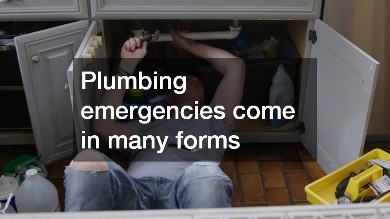Plumbing emergencies come in many forms