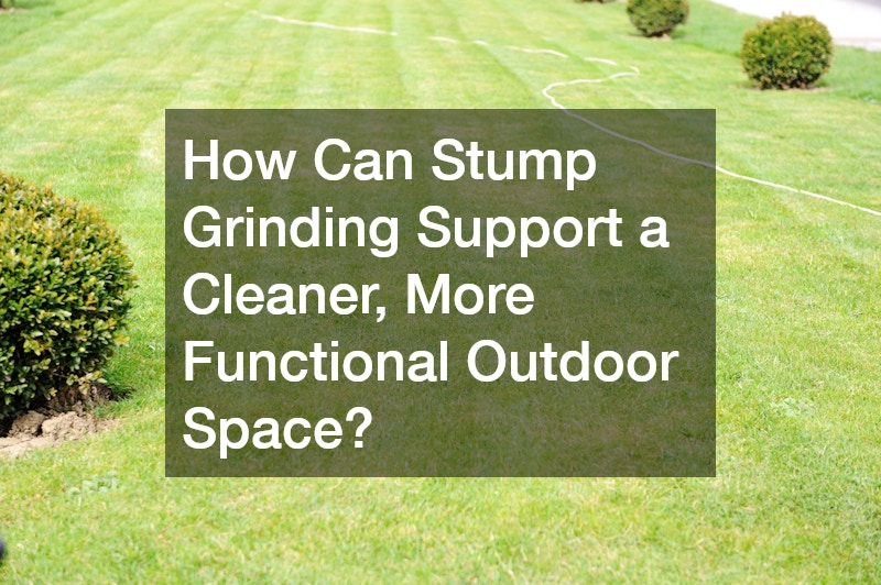 How Can Stump Grinding Support a Cleaner, More Functional Outdoor Space?