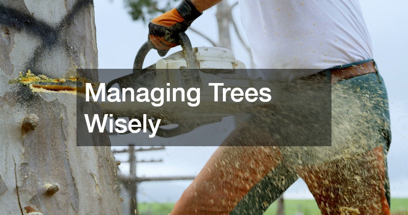 Managing Trees Wisely