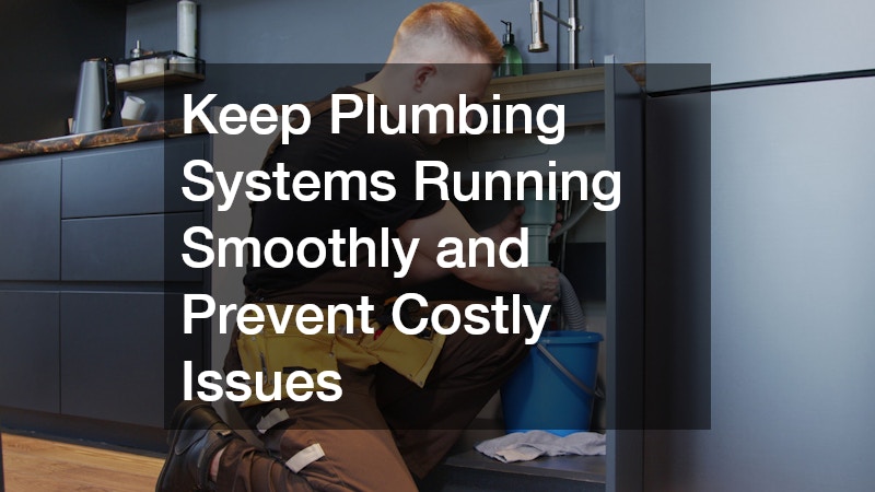 Keep Plumbing Systems Running Smoothly and Prevent Costly Issues