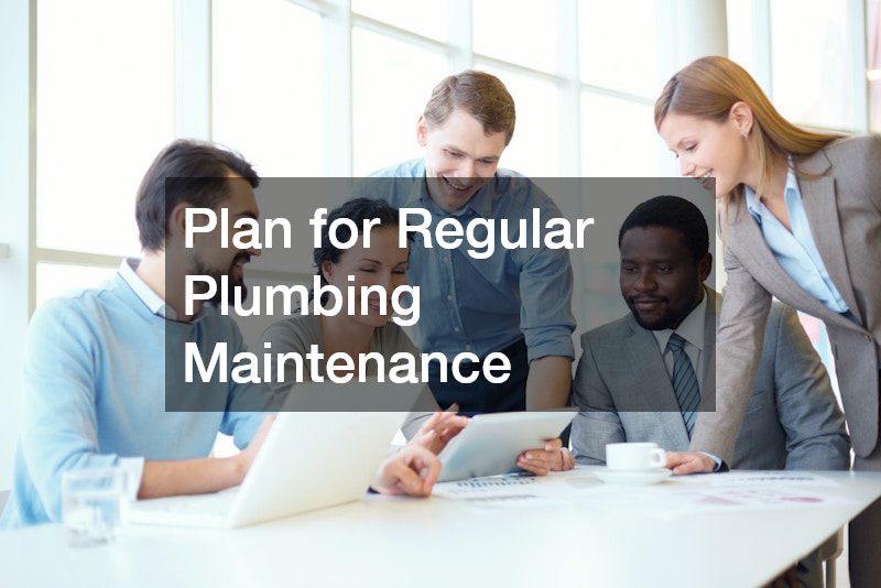 Plan for Regular Plumbing Maintenance