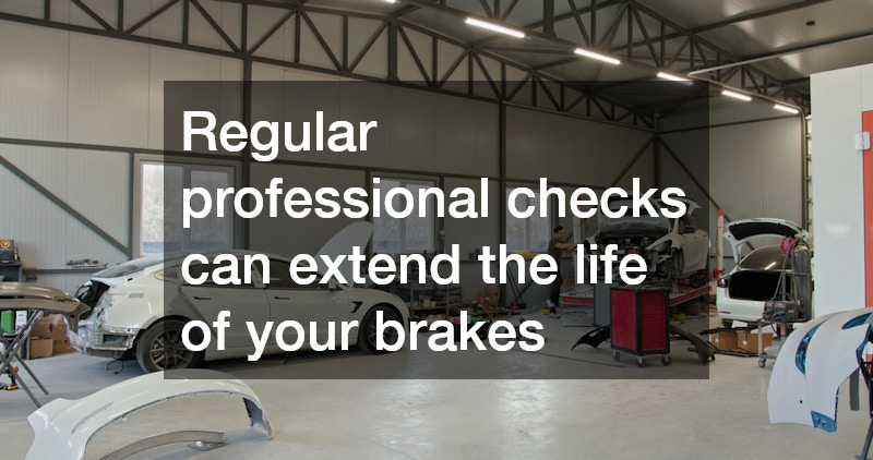 Regular professional checks can extend the life of your brakes