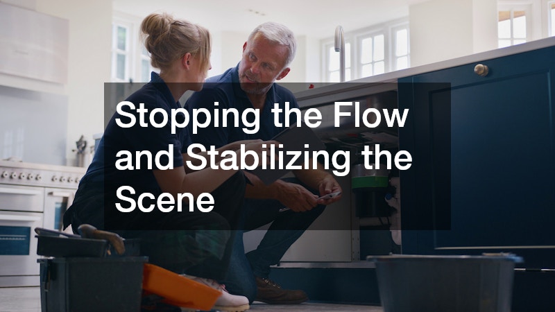 Stopping the Flow and Stabilizing the Scene