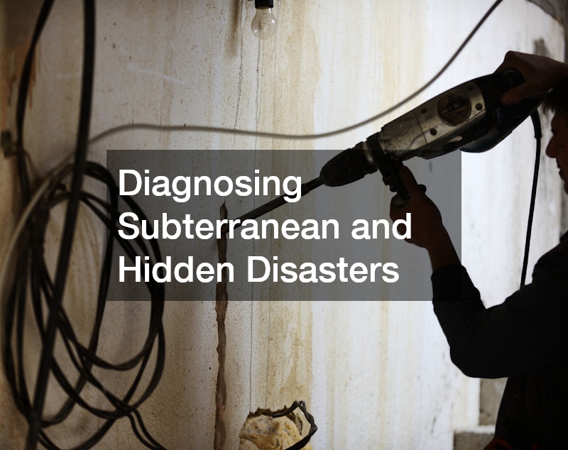 Diagnosing Subterranean and Hidden Disasters
