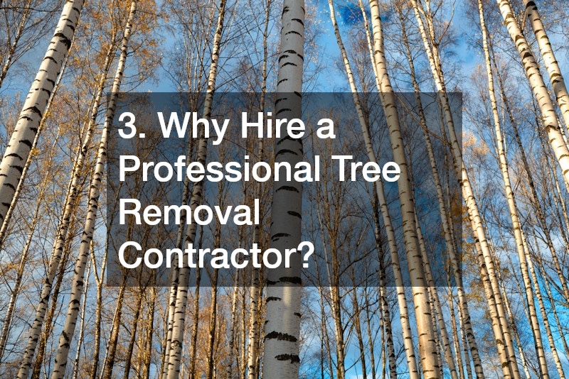 3. Why Hire a Professional Tree Removal Contractor?