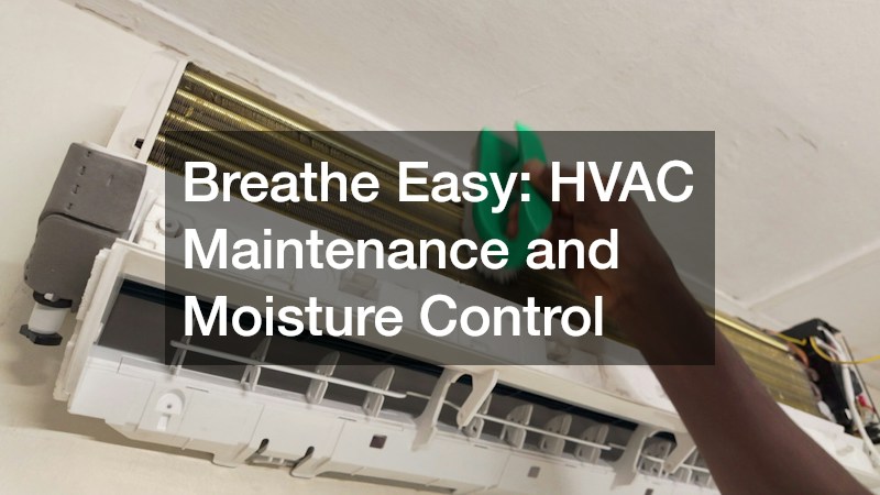 Breathe Easy: HVAC Maintenance and Moisture Control