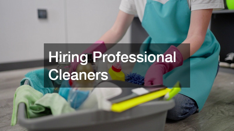 Hiring Professional Cleaners