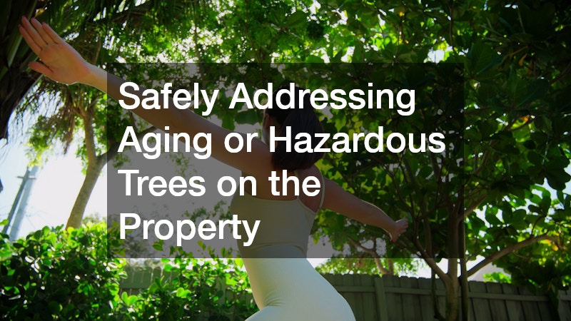 Safely Addressing Aging or Hazardous Trees on the Property