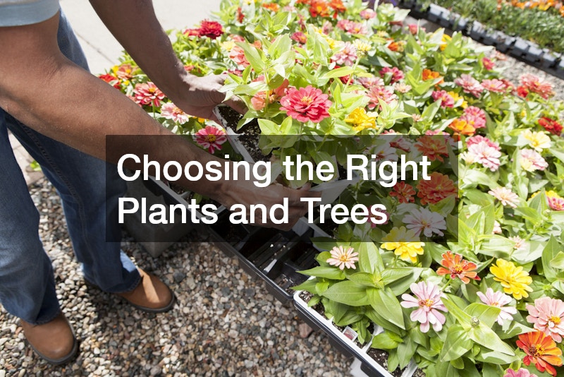 Choosing the Right Plants and Trees
