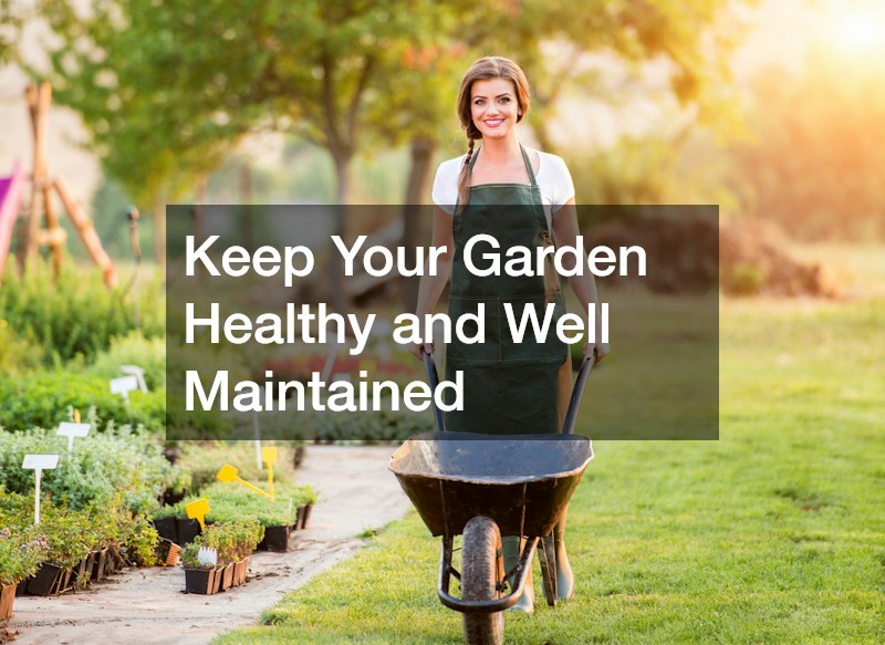 Keep Your Garden Healthy and Well Maintained