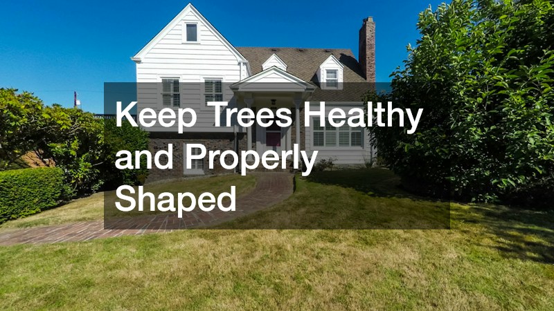 Keep Trees Healthy and Properly Shaped
