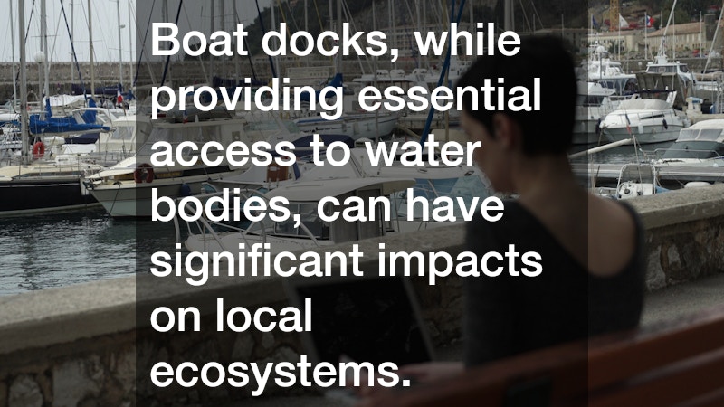 Boat docks, while providing essential access to water bodies, can have significant impacts on local ecosystems.