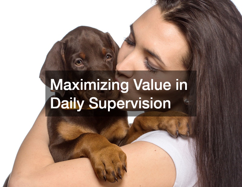 Maximizing Value in Daily Supervision