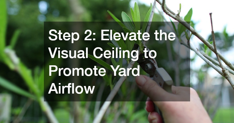 Step 2: Elevate the Visual Ceiling to Promote Yard Airflow