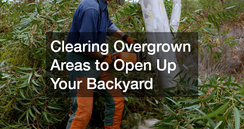 Clearing Overgrown Areas to Open Up Your Backyard