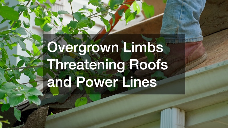 Overgrown Limbs Threatening Roofs and Power Lines