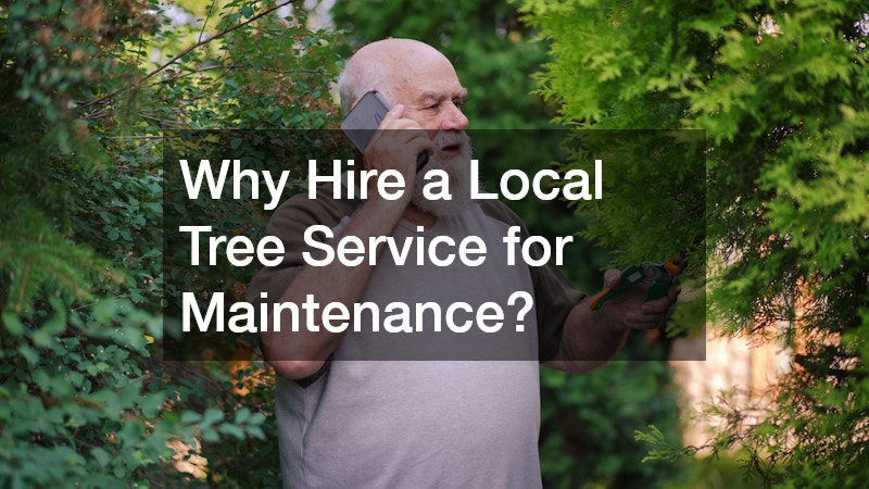 Why Hire a Local Tree Service for Maintenance?