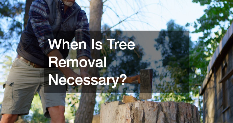 When Is Tree Removal Necessary?