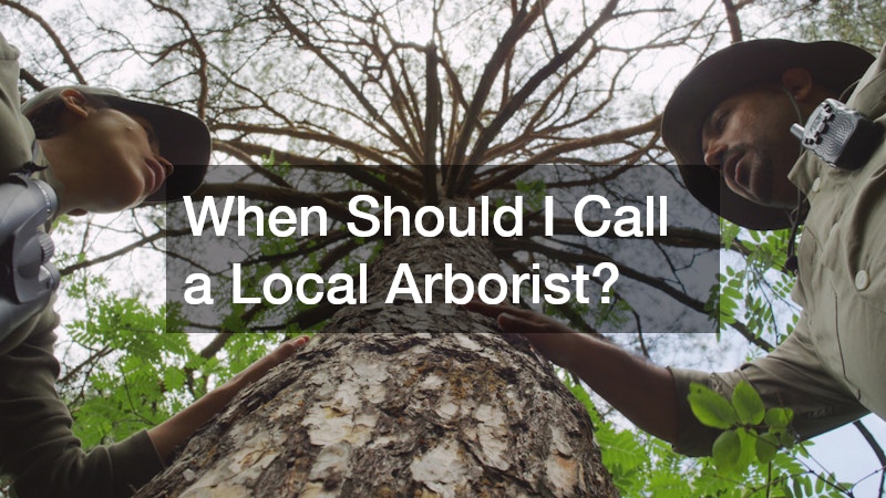 When Should I Call a Local Arborist?