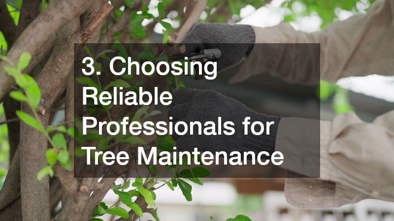 3. Choosing Reliable Professionals for Tree Maintenance