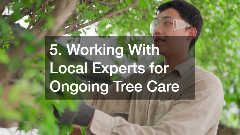 5. Working With Local Experts for Ongoing Tree Care