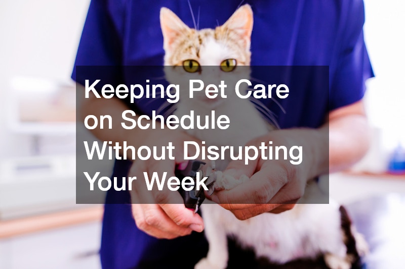 Keeping Pet Care on Schedule Without Disrupting Your Week