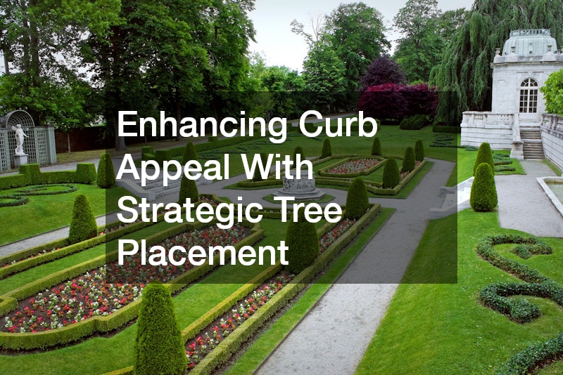 Enhancing Curb Appeal With Strategic Tree Placement