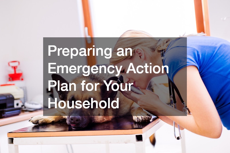 Preparing an Emergency Action Plan for Your Household