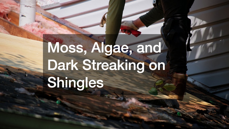 Moss, Algae, and Dark Streaking on Shingles