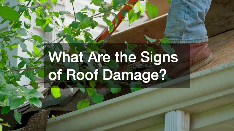 What Are the Signs of Roof Damage?