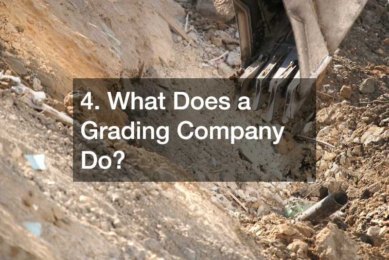 4. What Does a Grading Company Do?