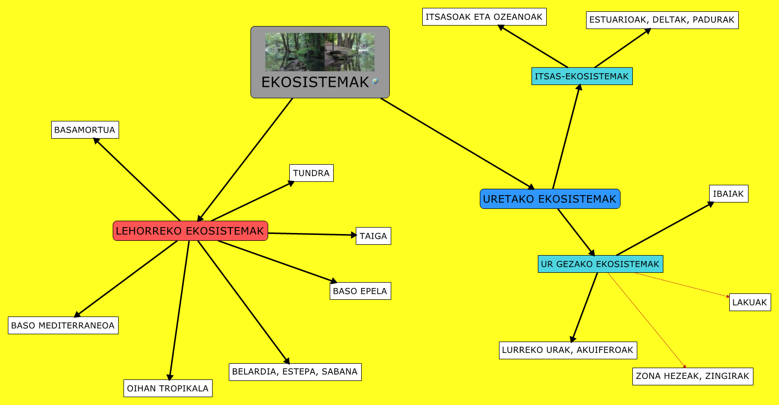 Ekosistem Mind Map | Porn Sex Picture