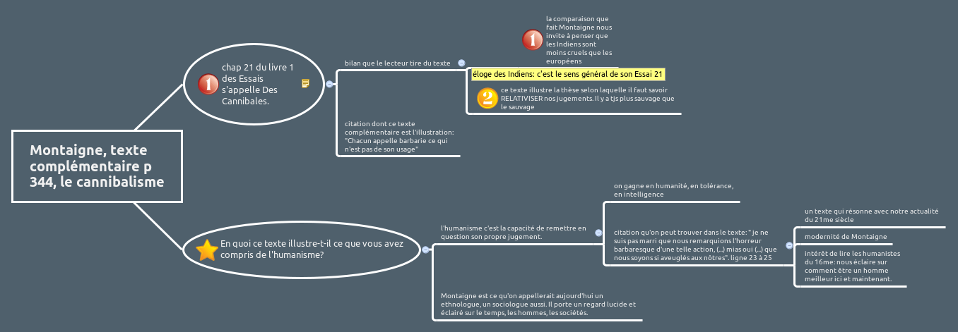Montaigne Texte Complementaire P 344 Le Cannibalisme Xmind Mind Mapping Software