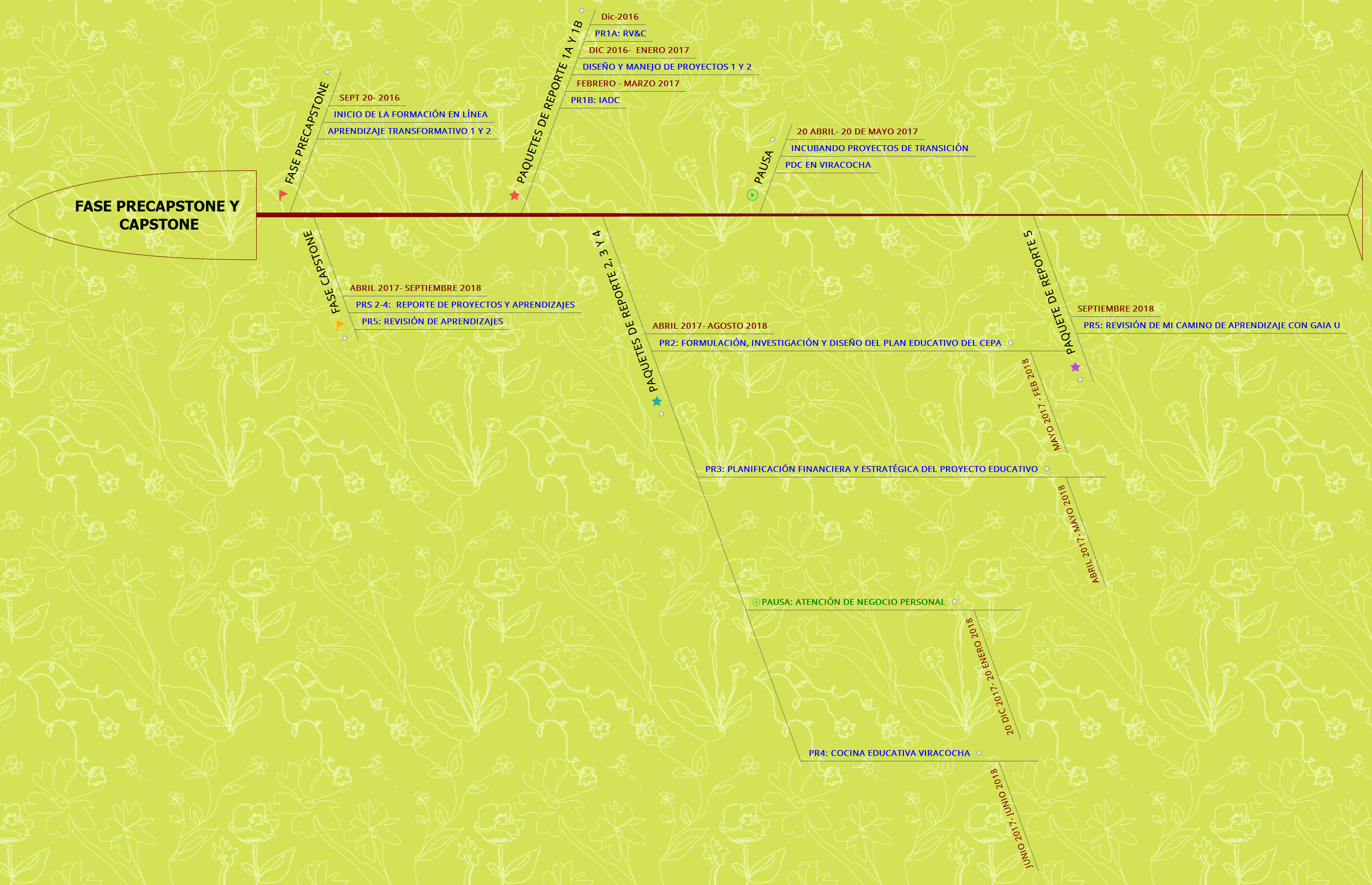 Linea de Tiempo de PRs y Pausas - XMind - Mind Mapping Software