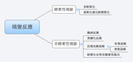 褐變反應 Xmind Mind Mapping Software