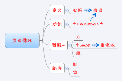 血液循环 Xmind Mind Mapping Software