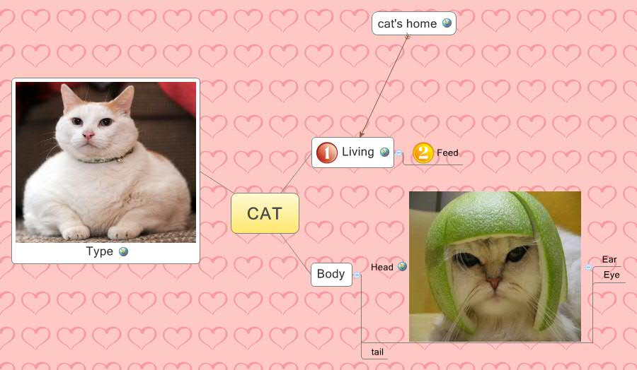 CAT Xmind Mind Mapping App