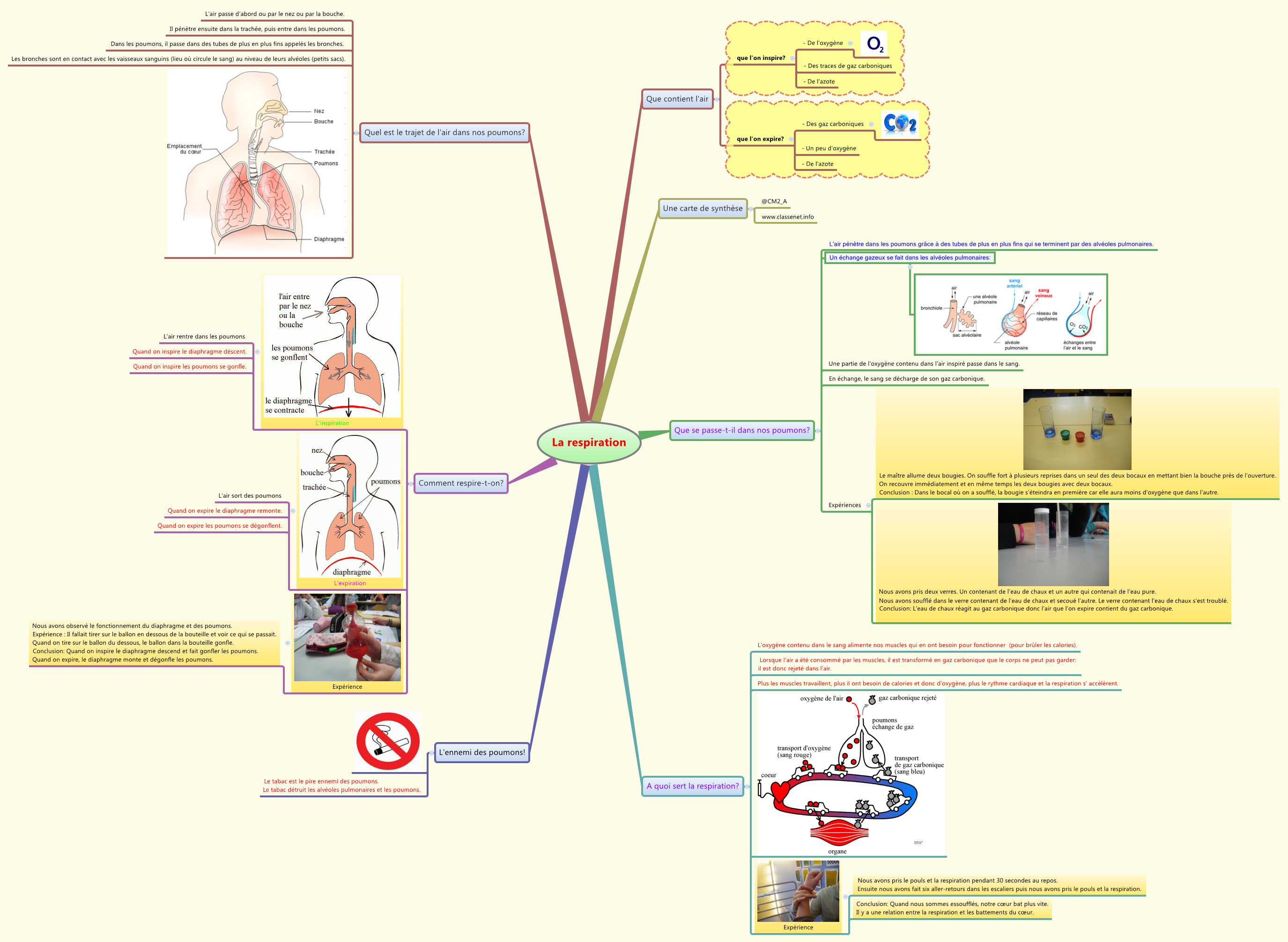 La respiration - XMind - Mind Mapping Software