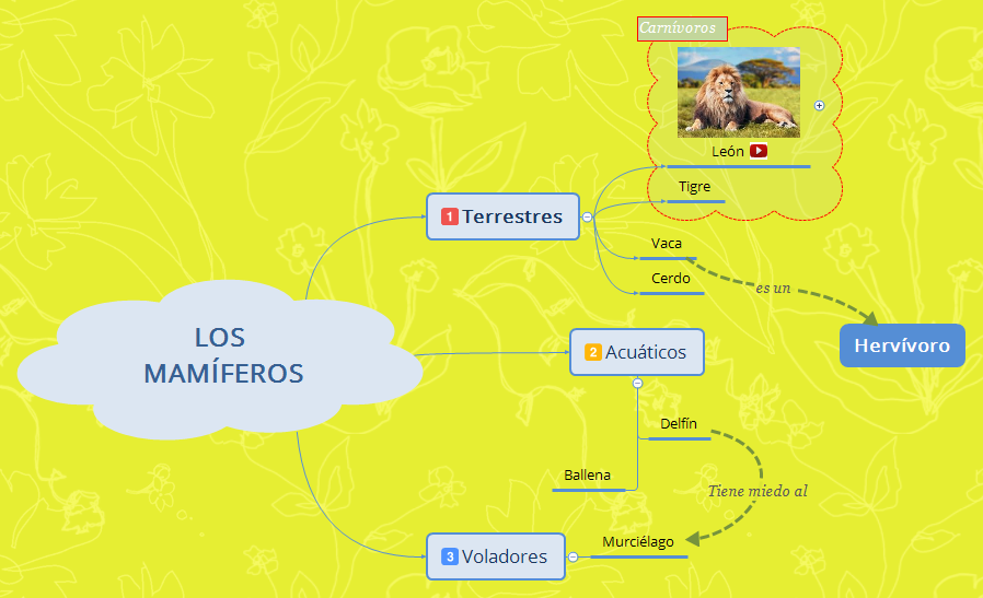 Practicando Compartir Mapas Mentales XMind Mind
