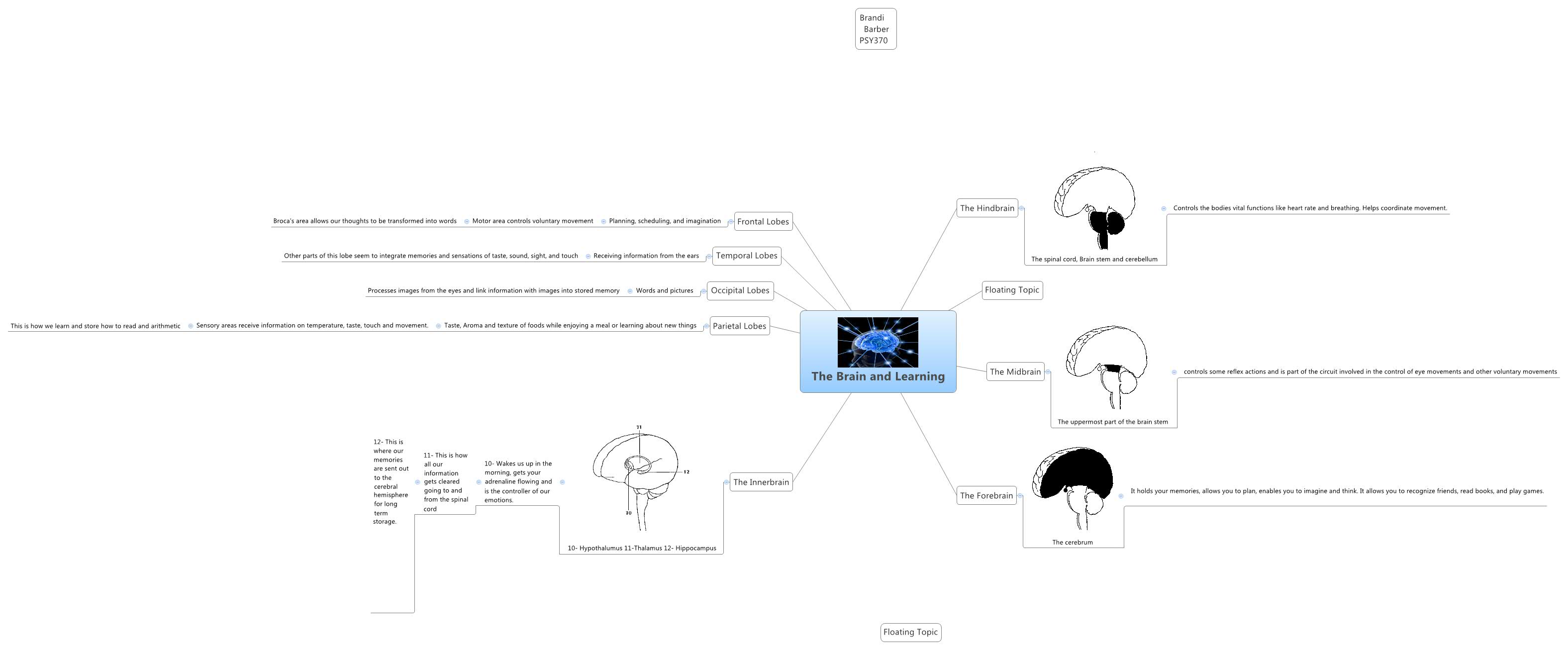 The Brain And Learning Branbar2003 Xmind The brain and learning branbar2003 xmind