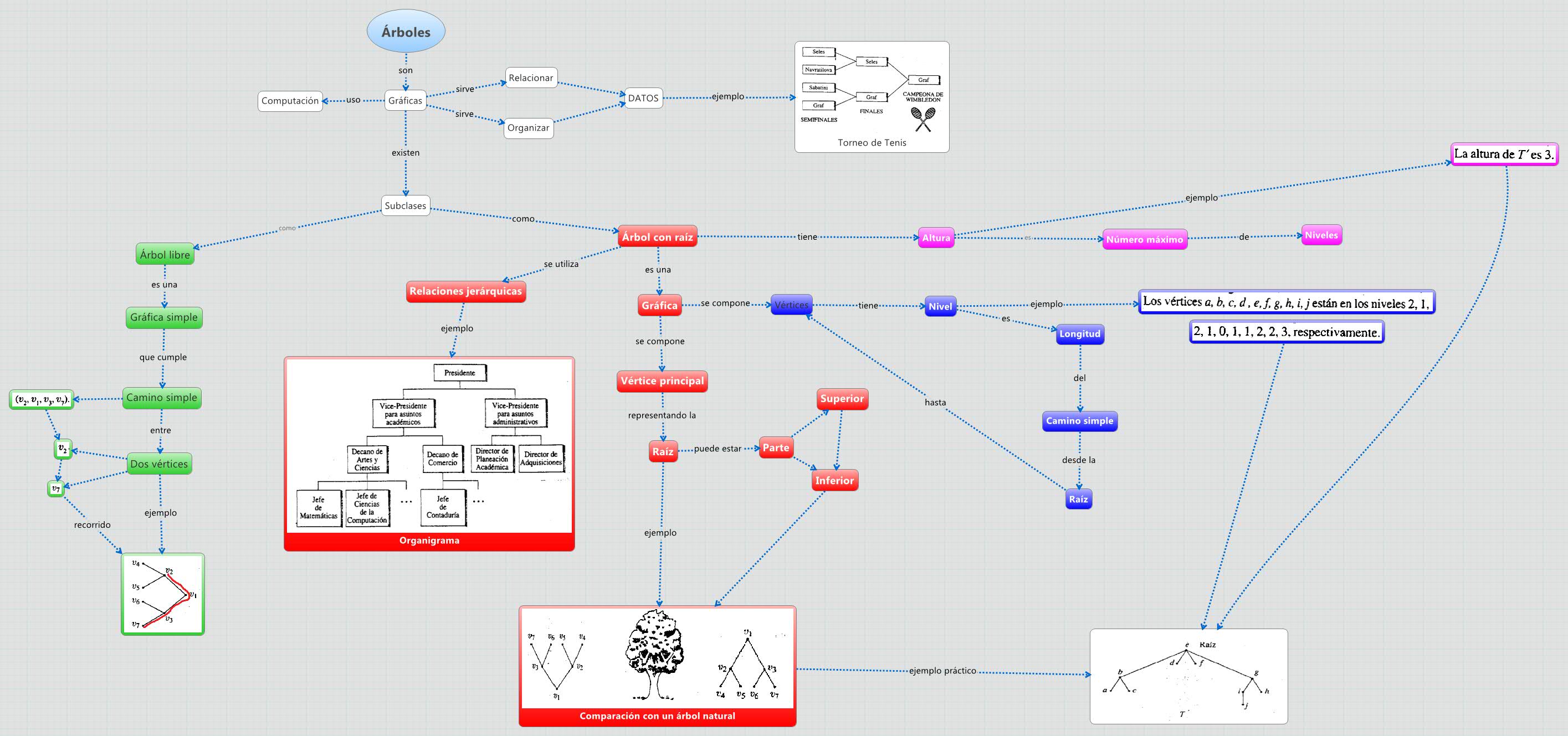 Árboles XMind Mind Mapping Software