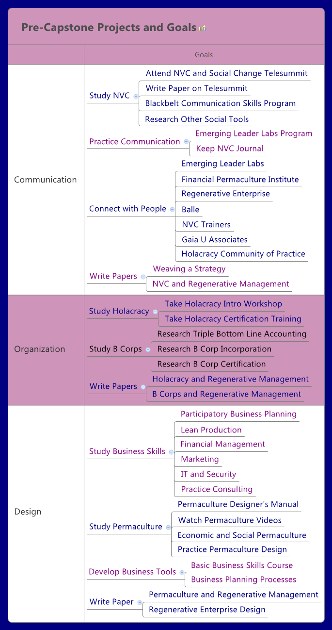 Capstone project goals picture