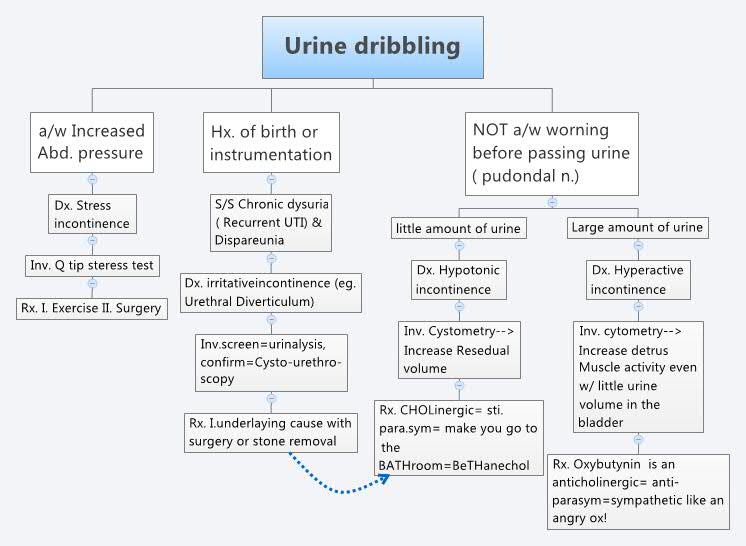 Urine dribbling Amer Almohssen Xmind