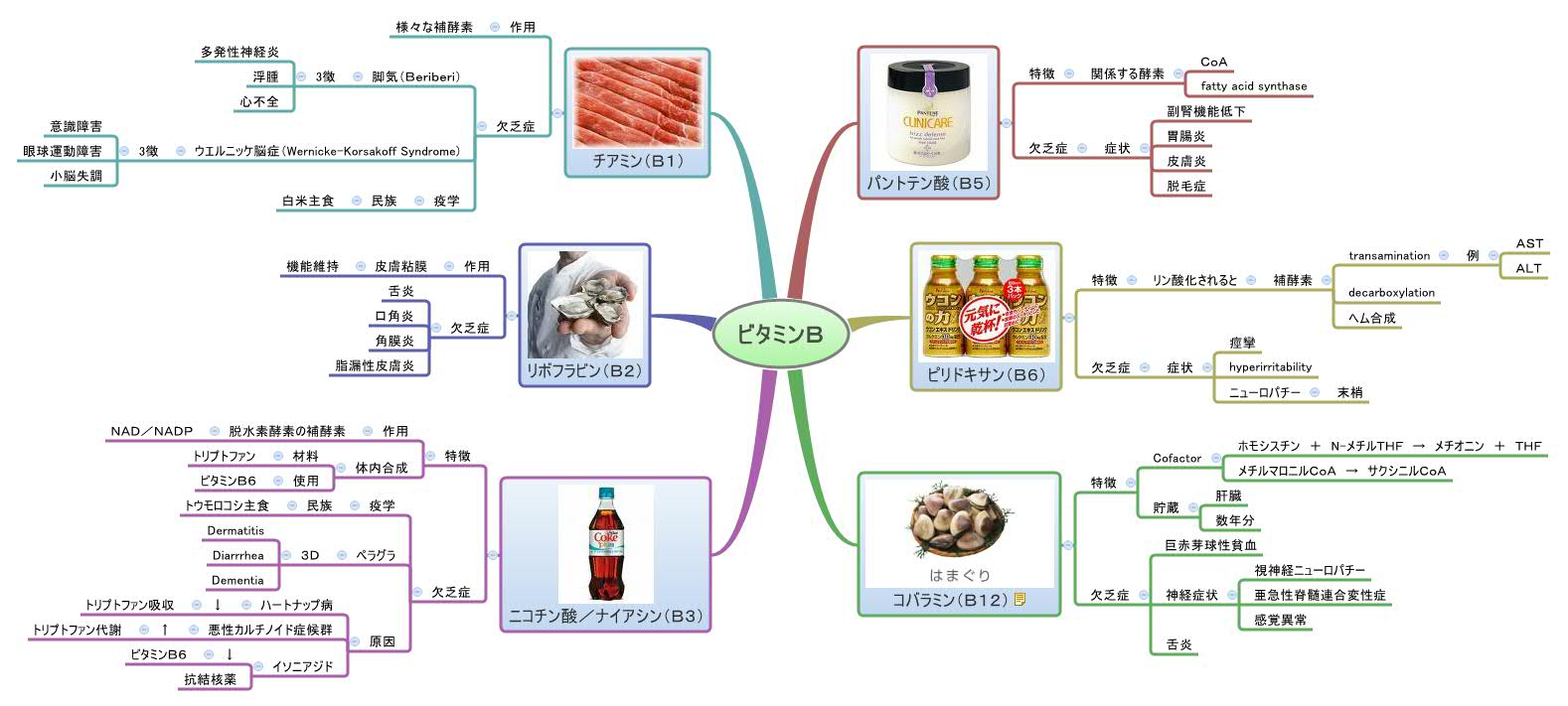 ビタミンｂ Xmind Mind Mapping Software