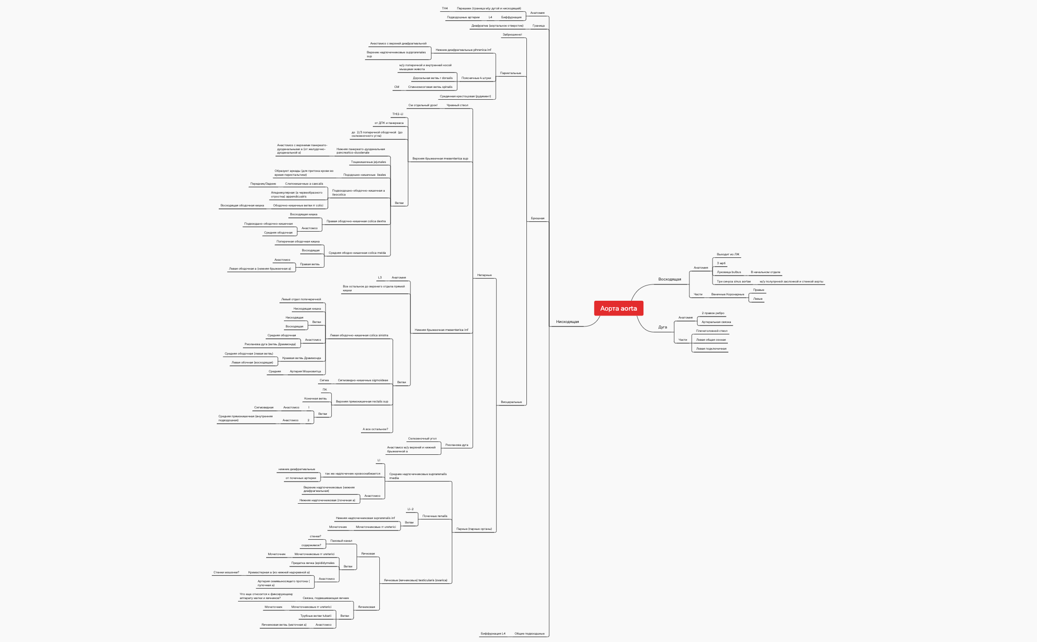 Аорта | EfsMPeBBDJ - Xmind
