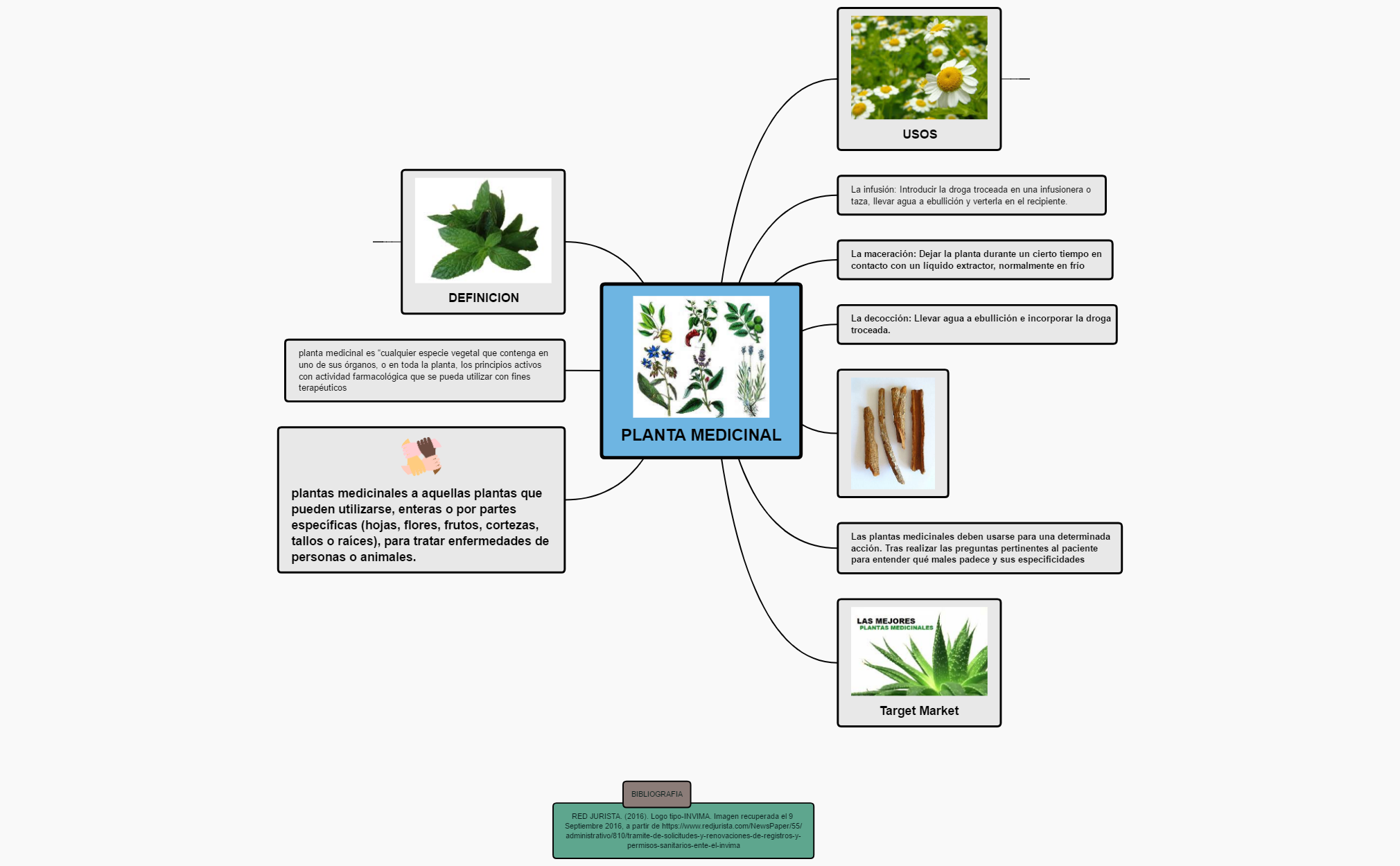 PLANTA MEDICINAL | maive gamboa - Xmind