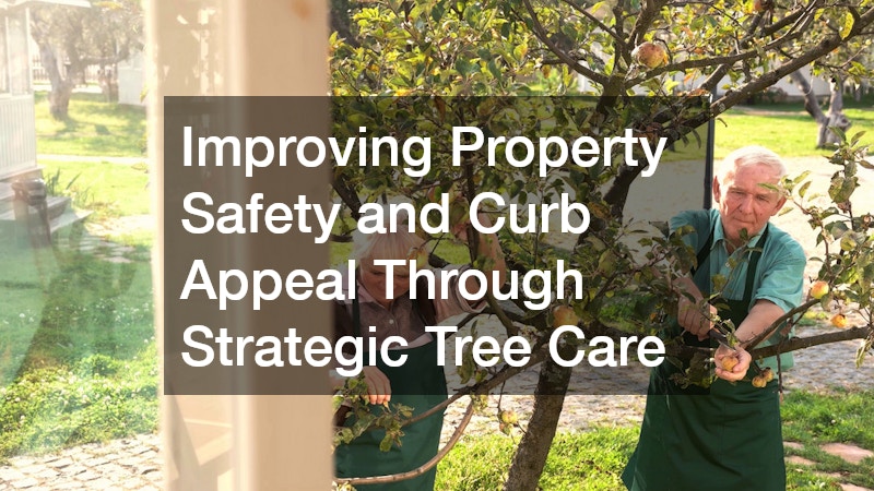 Improving Property Safety and Curb Appeal Through Strategic Tree Care