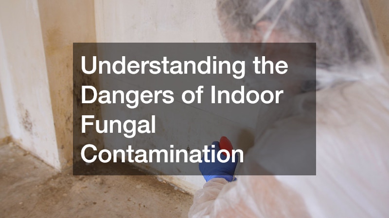 Understanding the Dangers of Indoor Fungal Contamination