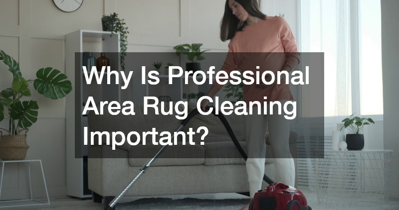 Why Is Professional Area Rug Cleaning Important?