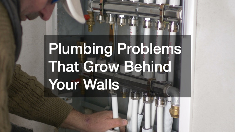 Plumbing Problems That Grow Behind Your Walls